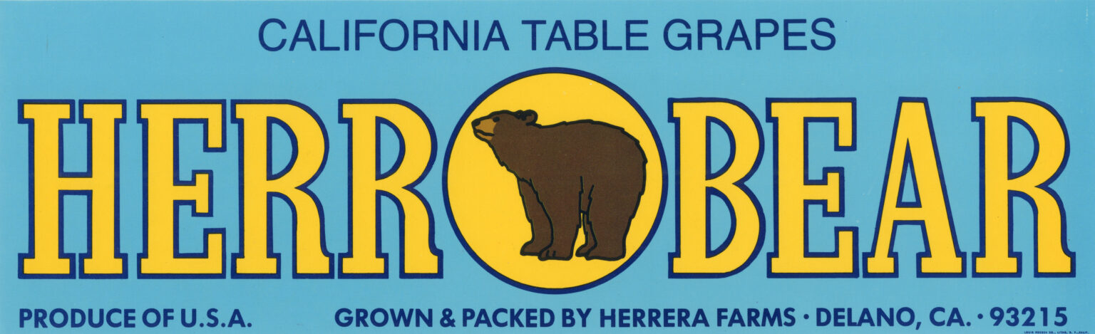 Herr Bear